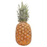 Ananas Gold