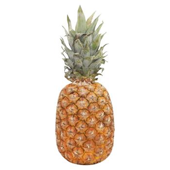 Ananas Gold - cumpărați, prețuri pentru BONUS - foto 1