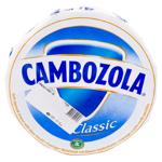 Сыр с плесенью Kaserei Champignon 70%