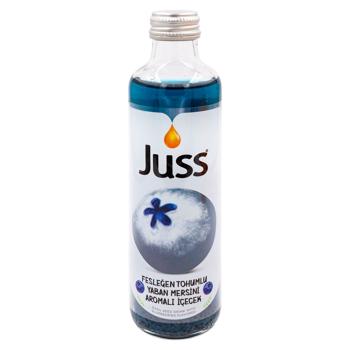 Bautura Juss afine 250ml - cumpărați, prețuri pentru BONUS - foto 1