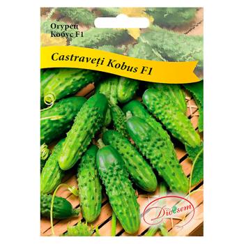 Semințe Diolsem Castraveti Kobus 3g - cumpărați, prețuri pentru BONUS - foto 1