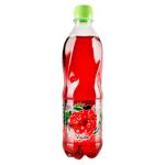 Bautura necarbogazoasa Prigat Visina 0.5l