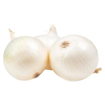 Ceapa alba - cumpărați, prețuri pentru BONUS - foto 1