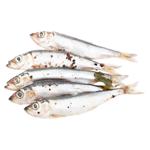 Салака соленая в маринаде Dalmors-Grup