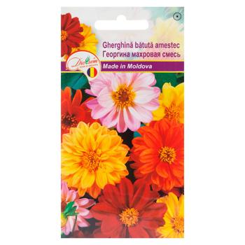 Seminte flori Diolsem Euro în sortiment 0,3g - cumpărați, prețuri pentru BONUS - foto 1