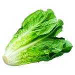 Salata Romaine 140g