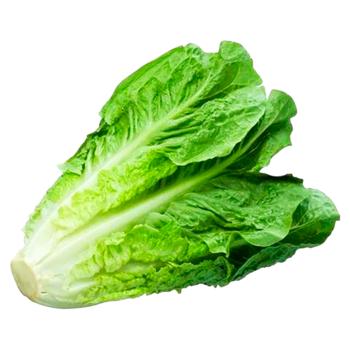 Salata Romaine 140g - купить, цены на BONUS - фото 1