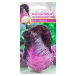 Semințe Diolsem Varză roșie Kalibos 0.5g