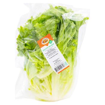Salata frunza 200g - cumpărați, prețuri pentru BONUS - foto 1