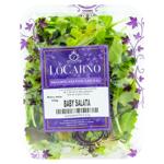 Salata Baby 100g