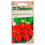 Semințe Diolsem Ridiche de luna Crasa 3g