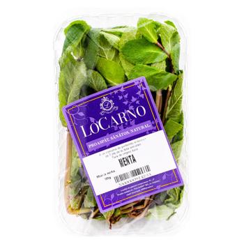 Menta LoCarno 50gr - cumpărați, prețuri pentru BONUS - foto 1