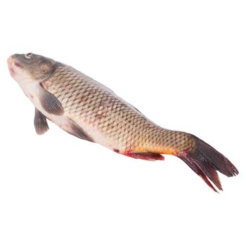 Карп охлажденный - купить, цены на BONUS - фото 3
