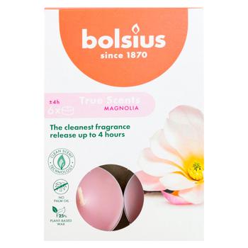 Lumânări aromatice Bolsius 6buc sortiment - cumpărați, prețuri pentru METRO - foto 2
