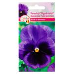 Seminte flori Diolsem Euro în sortiment 0,3g