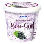 Мороженое Frigo You-Gurt Смородина 300г
