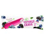 Inghetata Rud Mure afine 300g