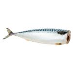 Мacrou Ocean Fish sarat fara cap