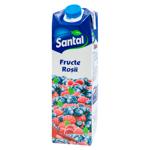 Нектар Santal лесные ягоды 1л