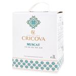Вино Cricova National Mускат белое сухое 3л