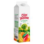 Nectar Soki Ukraini Multivitamine 1.9l