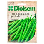 Semințe Diolsem Fasole Santinela verde creion 20g
