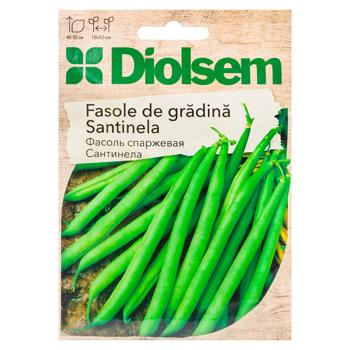 Semințe Diolsem Fasole Santinela verde creion 20g - cumpărați, prețuri pentru BONUS - foto 1