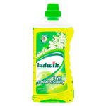 Solutia Univers p-ru curatare Ludwik 1kg Miros lacramioara Super stralucire