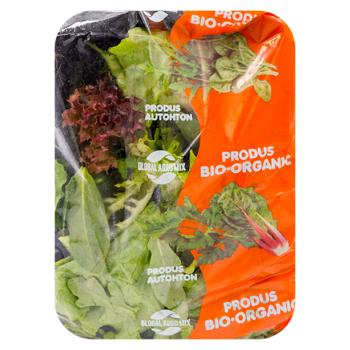 Salata Mix Fresh 100g - cumpărați, prețuri pentru BONUS - foto 1