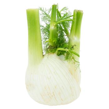Fenchel Olanda - cumpărați, prețuri pentru BONUS - foto 1