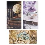 Plic Bettyflora Universal