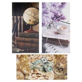 Plic Bettyflora Universal - cumpărați, prețuri pentru BONUS - foto 1