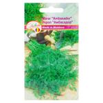 Semințe Diolsem Marar Ambasador 3g