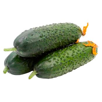 Castraveti cornison - cumpărați, prețuri pentru BONUS - foto 2