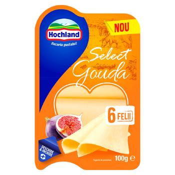 Branza Hochland Select Gouda felii 100g - cumpărați, prețuri pentru BONUS - foto 1