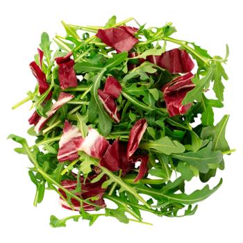 Rucola cu radicchio La Veneta 100g - cumpărați, prețuri pentru BONUS - foto 1