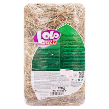 Fan pentru rozatoare LoLo Pets 250g - cumpărați, prețuri pentru BONUS - foto 1