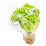 Salata Batavia verde 140g