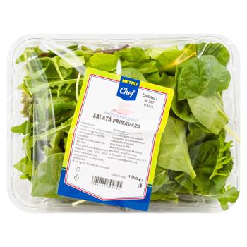 Salata METRO Chef Primavara 100g - cumpărați, prețuri pentru METRO - foto 1