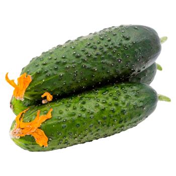 Castraveti cornison - cumpărați, prețuri pentru BONUS - foto 1