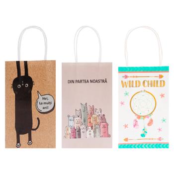 Punga pentru cadou 18*23*10cm - cumpărați, prețuri pentru BONUS - foto 1