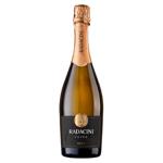 Вино игристое Radacini Brut белое 0,75л