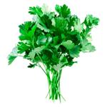 Patrunjel verde 100gr MD