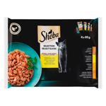 Корм влажный Sheba с мясом птицы для кошек 4х85г