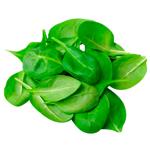 Шпинат Бэби пучок 100г