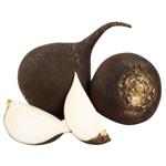 Ridiche neagra