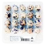 Oua de prepelita Ferma Exidor 20buc