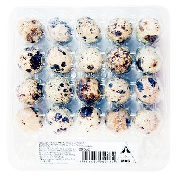 Oua de prepelita Ferma Exidor 20buc - cumpărați, prețuri pentru BONUS - foto 1