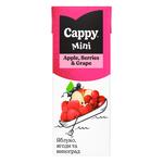 Nectar Cappy Mini Măr-fructe de pădure-struguri 200ml