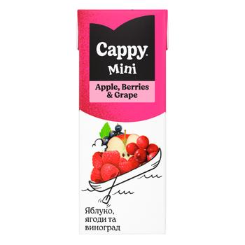 Nectar Cappy Mini Măr-fructe de pădure-struguri 200ml - cumpărați, prețuri pentru METRO - foto 1